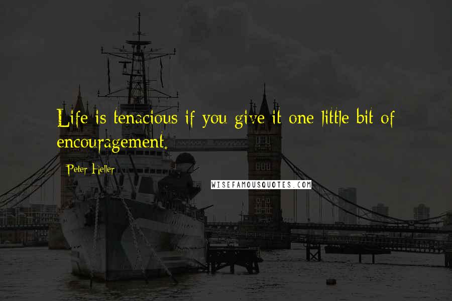 Peter Heller Quotes: Life is tenacious if you give it one little bit of encouragement.