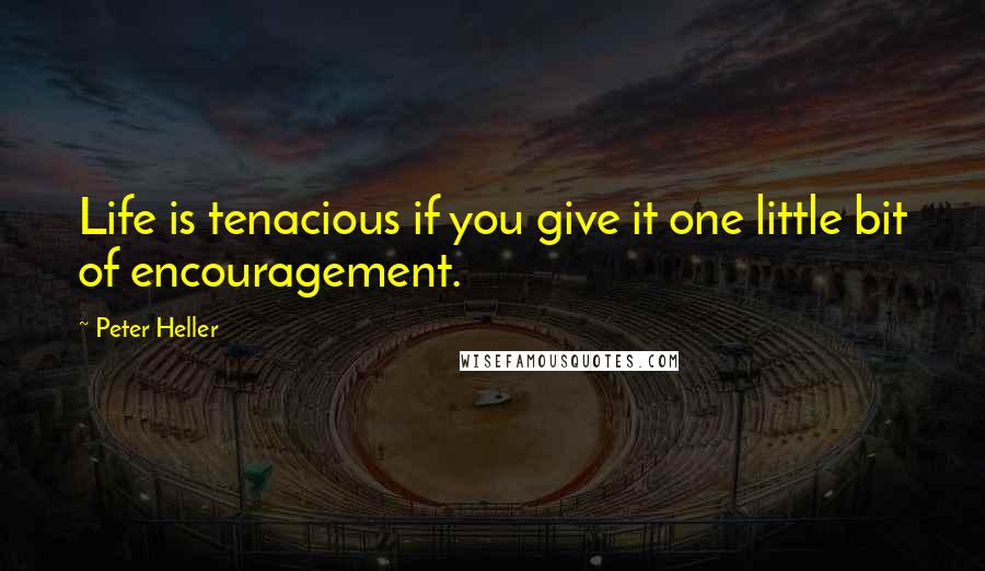 Peter Heller Quotes: Life is tenacious if you give it one little bit of encouragement.