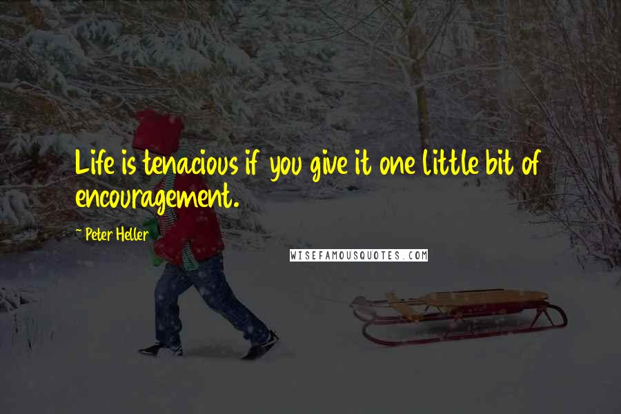 Peter Heller Quotes: Life is tenacious if you give it one little bit of encouragement.