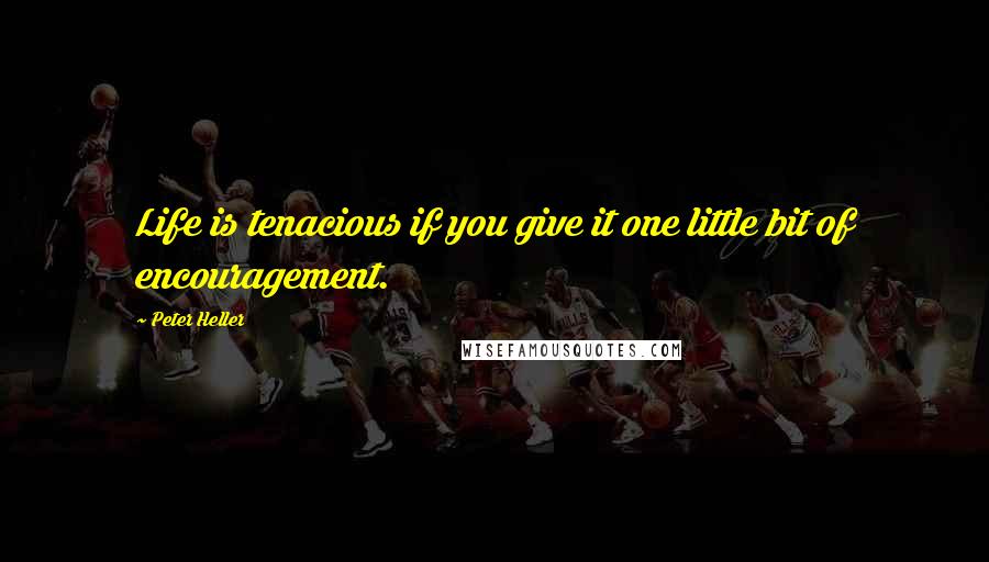 Peter Heller Quotes: Life is tenacious if you give it one little bit of encouragement.