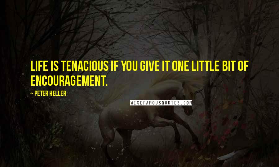 Peter Heller Quotes: Life is tenacious if you give it one little bit of encouragement.