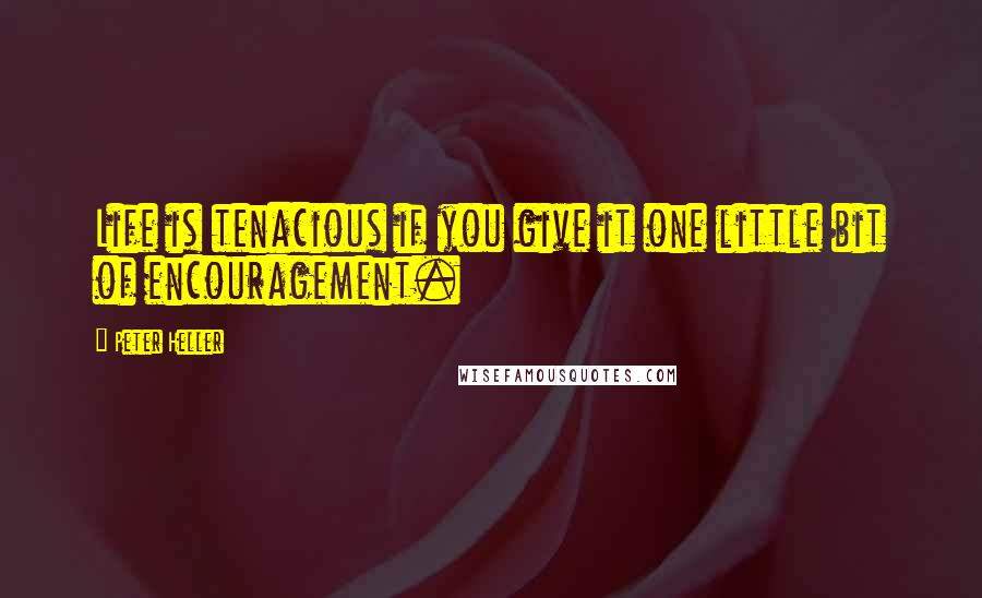 Peter Heller Quotes: Life is tenacious if you give it one little bit of encouragement.