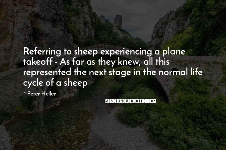 Peter Heller Quotes: Referring to sheep experiencing a plane takeoff - As far as they knew, all this represented the next stage in the normal life cycle of a sheep