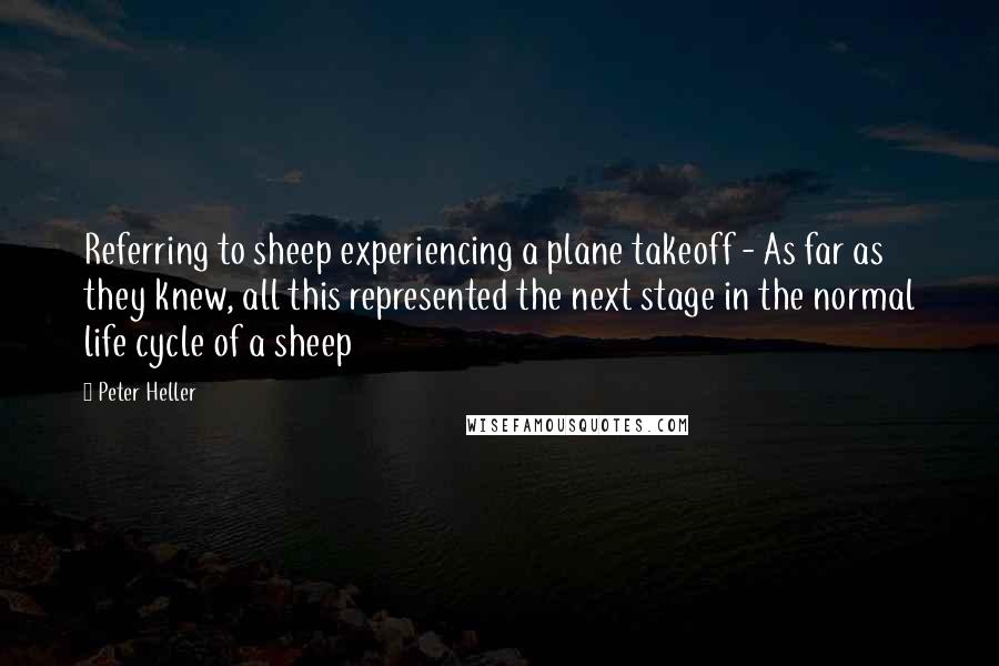 Peter Heller Quotes: Referring to sheep experiencing a plane takeoff - As far as they knew, all this represented the next stage in the normal life cycle of a sheep