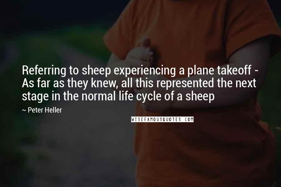 Peter Heller Quotes: Referring to sheep experiencing a plane takeoff - As far as they knew, all this represented the next stage in the normal life cycle of a sheep