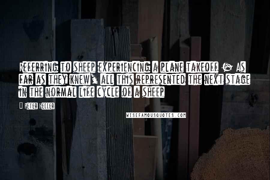 Peter Heller Quotes: Referring to sheep experiencing a plane takeoff - As far as they knew, all this represented the next stage in the normal life cycle of a sheep