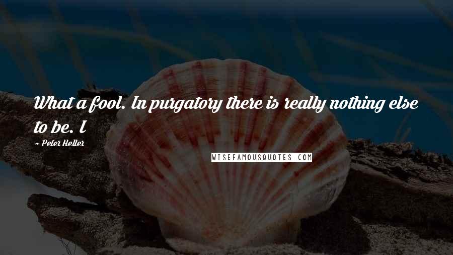 Peter Heller Quotes: What a fool. In purgatory there is really nothing else to be. I