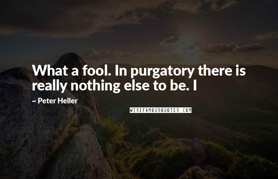 Peter Heller Quotes: What a fool. In purgatory there is really nothing else to be. I