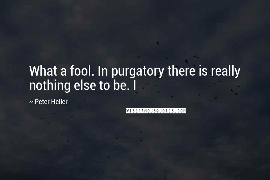 Peter Heller Quotes: What a fool. In purgatory there is really nothing else to be. I