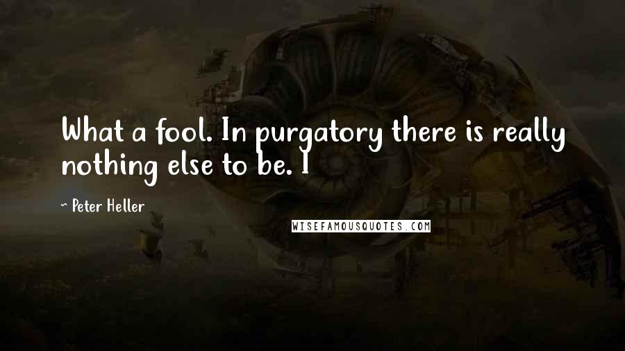 Peter Heller Quotes: What a fool. In purgatory there is really nothing else to be. I