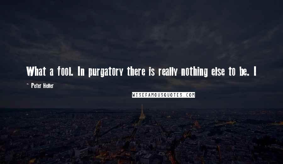 Peter Heller Quotes: What a fool. In purgatory there is really nothing else to be. I