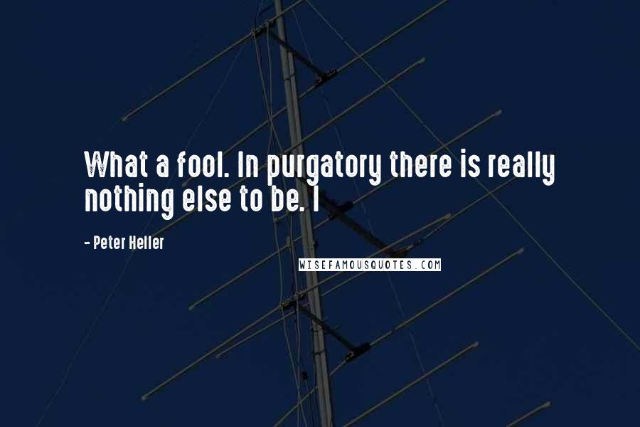 Peter Heller Quotes: What a fool. In purgatory there is really nothing else to be. I