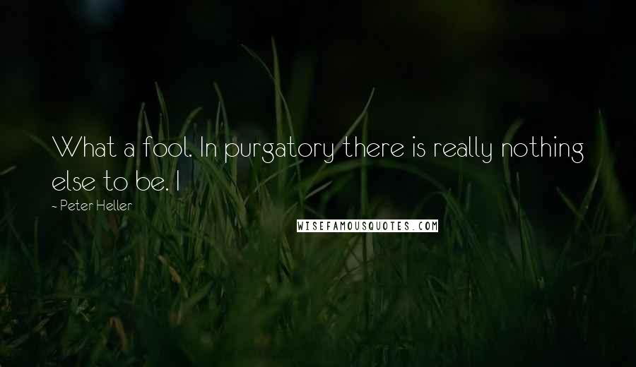 Peter Heller Quotes: What a fool. In purgatory there is really nothing else to be. I