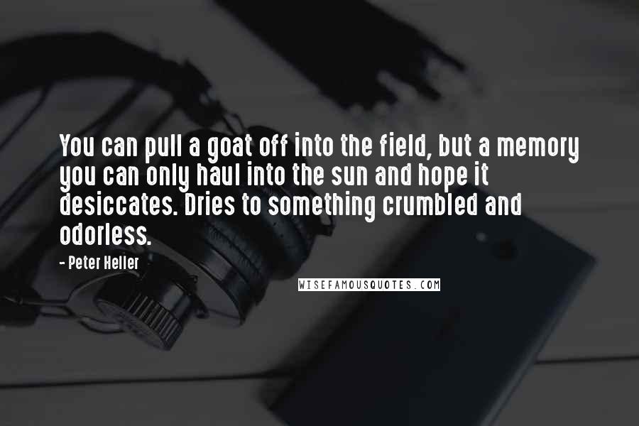 Peter Heller Quotes: You can pull a goat off into the field, but a memory you can only haul into the sun and hope it desiccates. Dries to something crumbled and odorless.