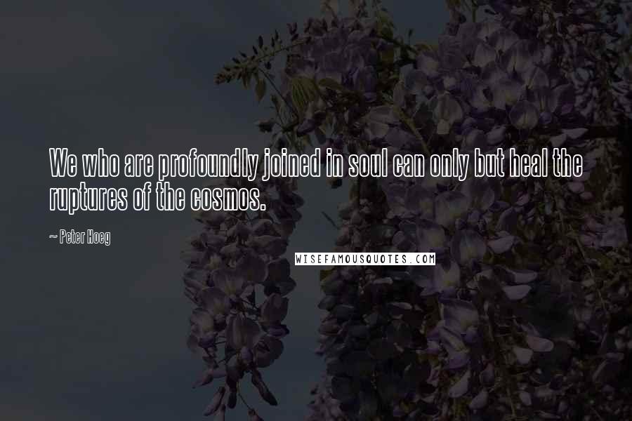 Peter Hoeg Quotes: We who are profoundly joined in soul can only but heal the ruptures of the cosmos.