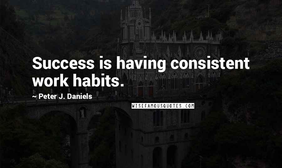 Peter J. Daniels Quotes: Success is having consistent work habits.