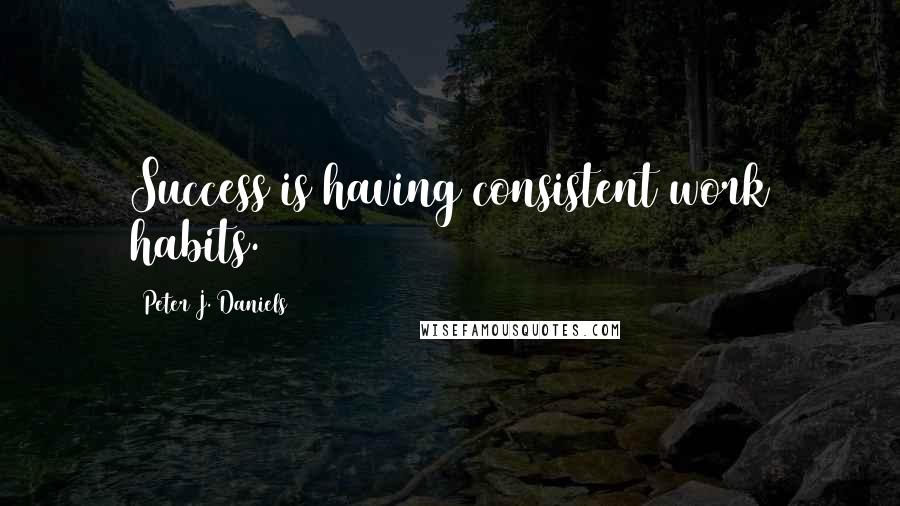 Peter J. Daniels Quotes: Success is having consistent work habits.