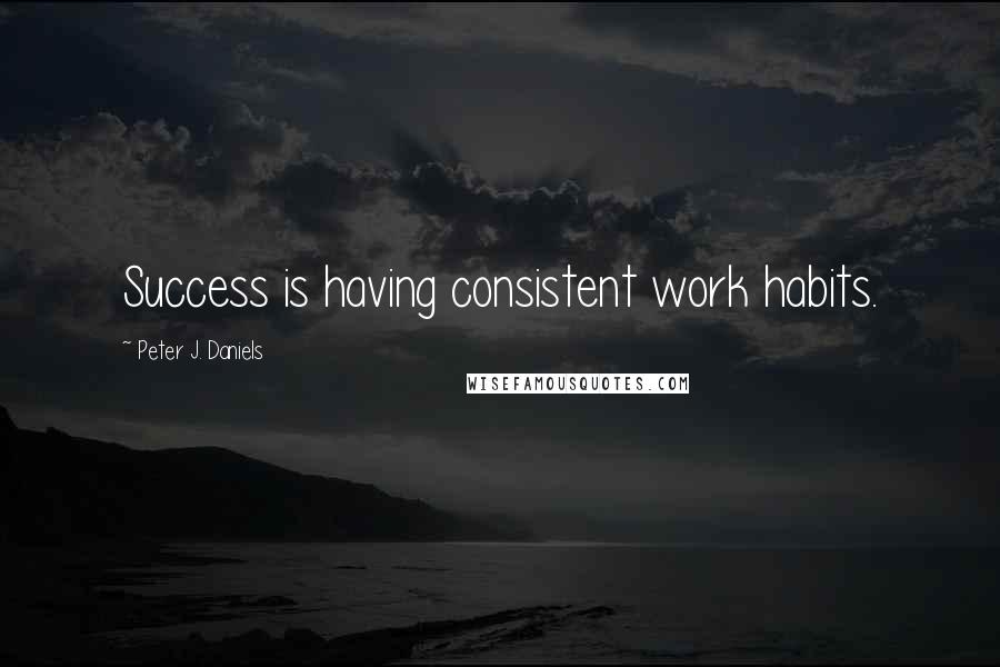 Peter J. Daniels Quotes: Success is having consistent work habits.
