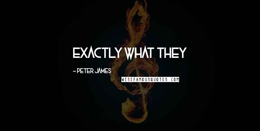 Peter James Quotes: Exactly what they
