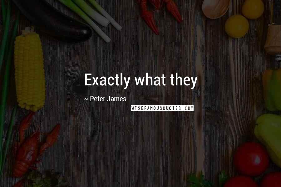 Peter James Quotes: Exactly what they