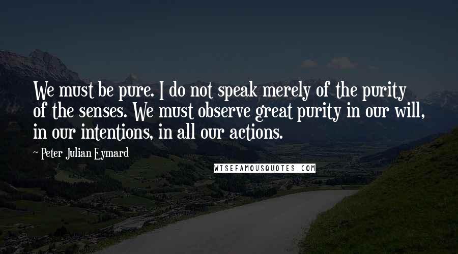 Peter Julian Eymard Quotes: We must be pure. I do not speak merely of the purity of the senses. We must observe great purity in our will, in our intentions, in all our actions.