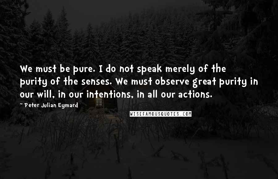 Peter Julian Eymard Quotes: We must be pure. I do not speak merely of the purity of the senses. We must observe great purity in our will, in our intentions, in all our actions.