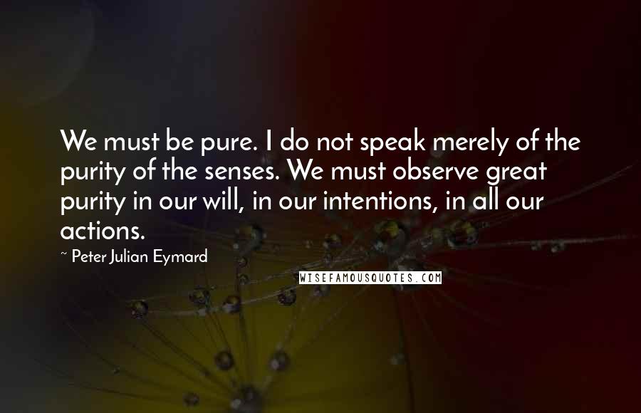 Peter Julian Eymard Quotes: We must be pure. I do not speak merely of the purity of the senses. We must observe great purity in our will, in our intentions, in all our actions.