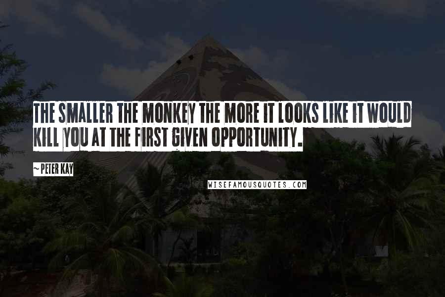 Peter Kay Quotes: The smaller the monkey the more it looks like it would kill you at the first given opportunity.