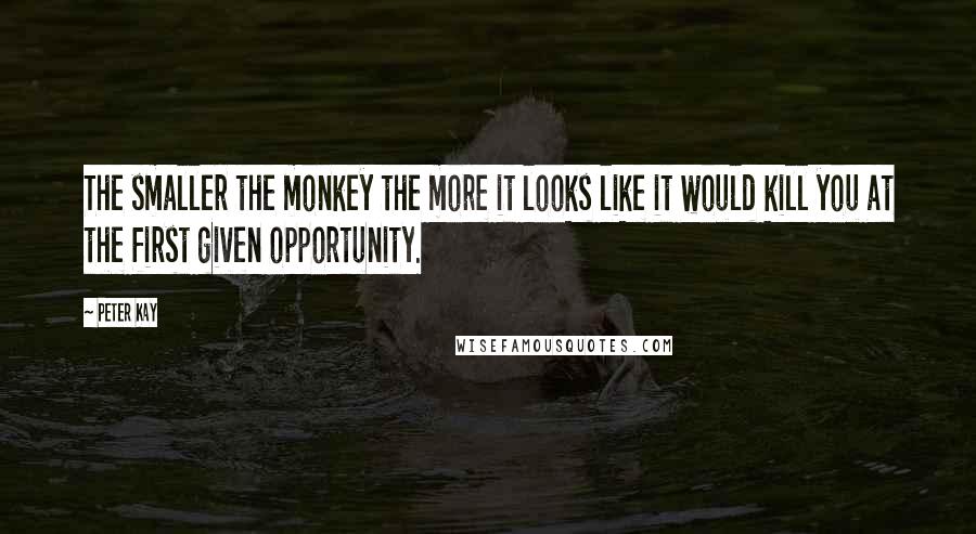 Peter Kay Quotes: The smaller the monkey the more it looks like it would kill you at the first given opportunity.