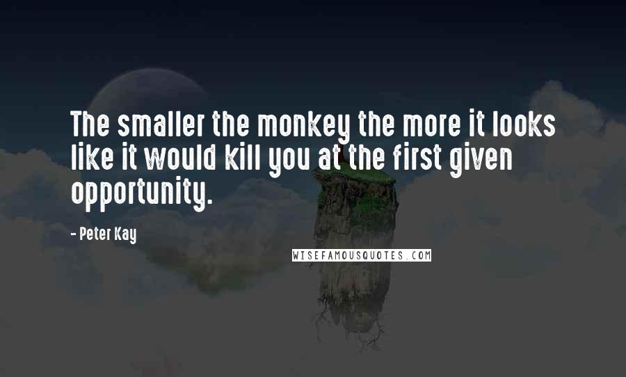 Peter Kay Quotes: The smaller the monkey the more it looks like it would kill you at the first given opportunity.