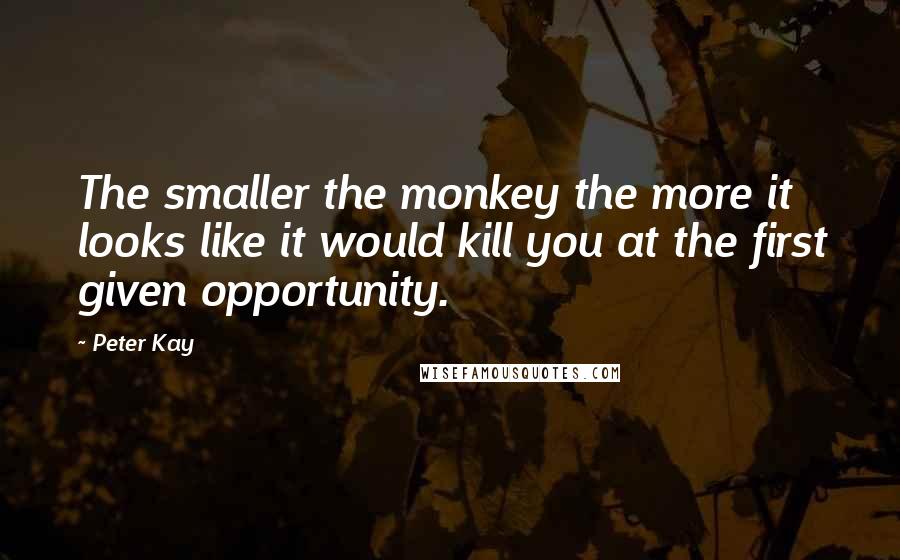 Peter Kay Quotes: The smaller the monkey the more it looks like it would kill you at the first given opportunity.