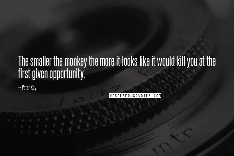 Peter Kay Quotes: The smaller the monkey the more it looks like it would kill you at the first given opportunity.