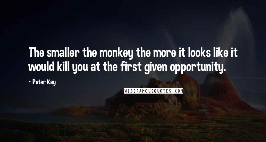 Peter Kay Quotes: The smaller the monkey the more it looks like it would kill you at the first given opportunity.