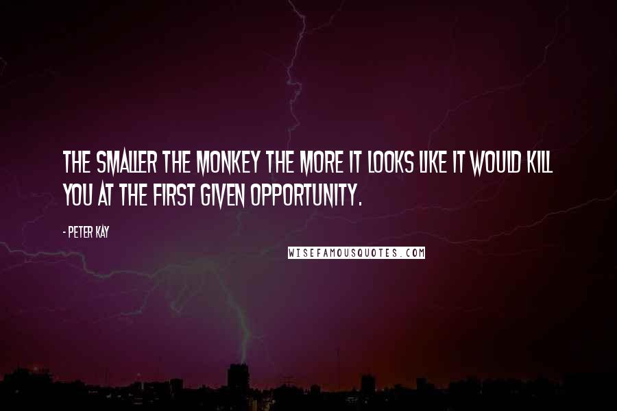 Peter Kay Quotes: The smaller the monkey the more it looks like it would kill you at the first given opportunity.