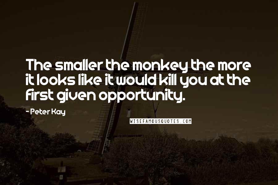 Peter Kay Quotes: The smaller the monkey the more it looks like it would kill you at the first given opportunity.
