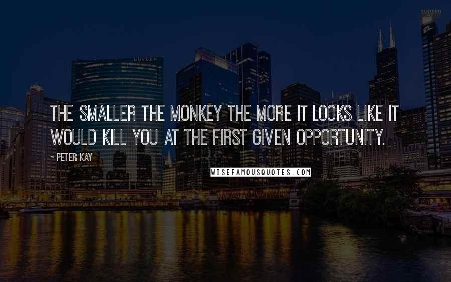 Peter Kay Quotes: The smaller the monkey the more it looks like it would kill you at the first given opportunity.