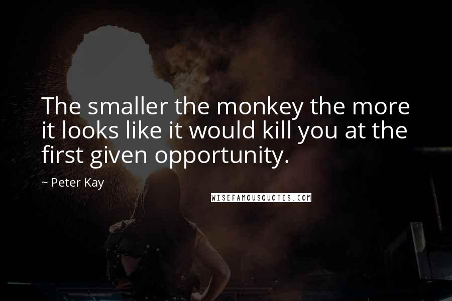 Peter Kay Quotes: The smaller the monkey the more it looks like it would kill you at the first given opportunity.