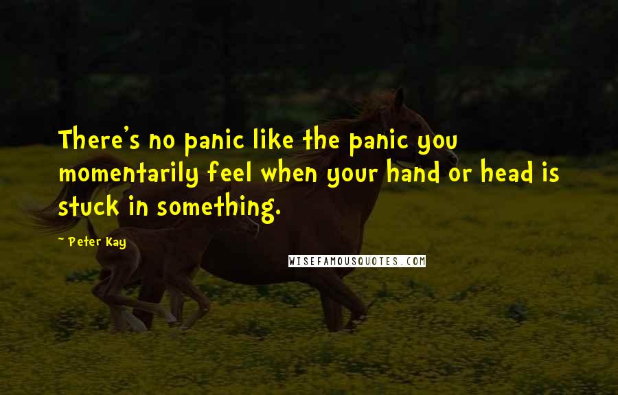 Peter Kay Quotes: There's no panic like the panic you momentarily feel when your hand or head is stuck in something.