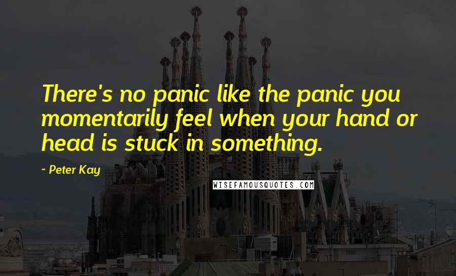 Peter Kay Quotes: There's no panic like the panic you momentarily feel when your hand or head is stuck in something.