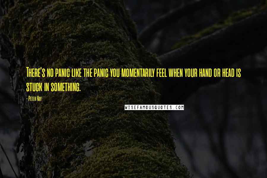 Peter Kay Quotes: There's no panic like the panic you momentarily feel when your hand or head is stuck in something.