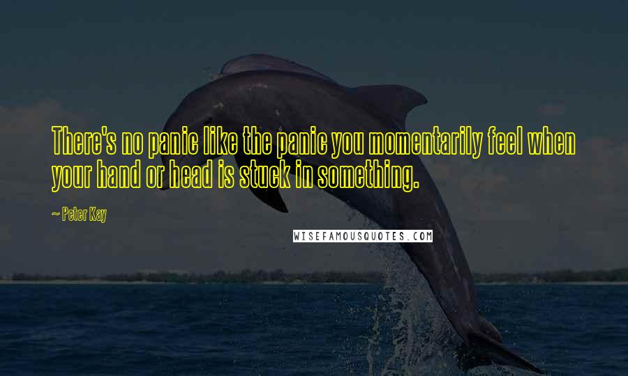 Peter Kay Quotes: There's no panic like the panic you momentarily feel when your hand or head is stuck in something.