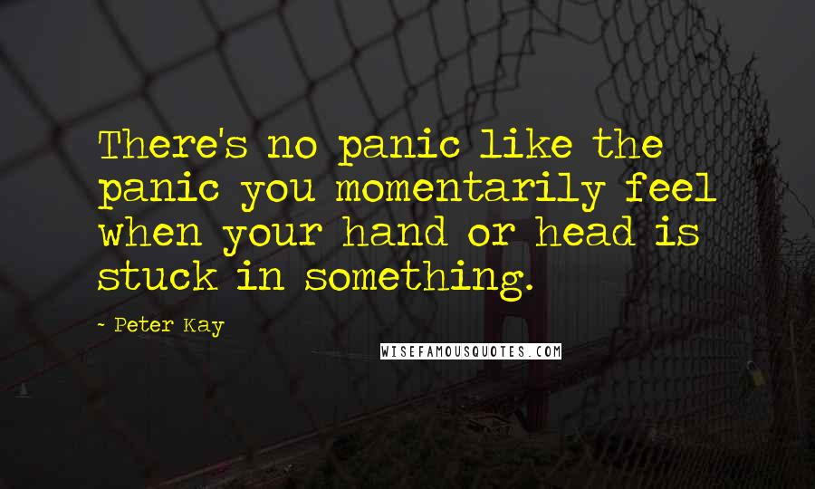 Peter Kay Quotes: There's no panic like the panic you momentarily feel when your hand or head is stuck in something.