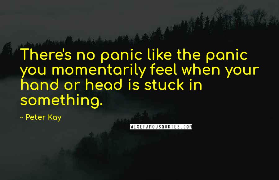 Peter Kay Quotes: There's no panic like the panic you momentarily feel when your hand or head is stuck in something.