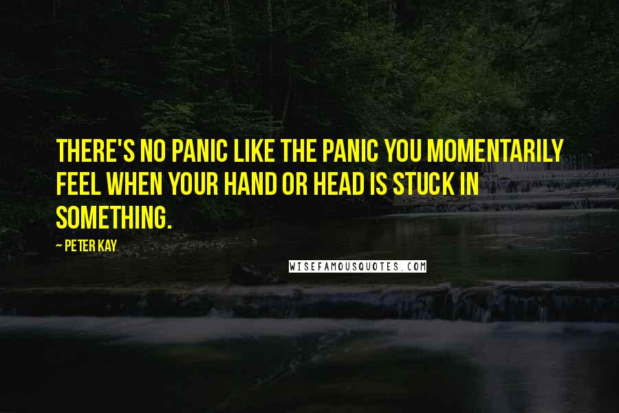 Peter Kay Quotes: There's no panic like the panic you momentarily feel when your hand or head is stuck in something.