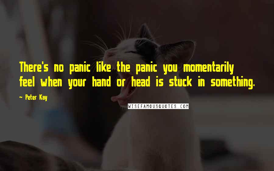 Peter Kay Quotes: There's no panic like the panic you momentarily feel when your hand or head is stuck in something.