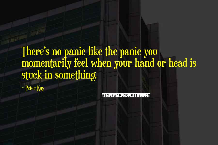 Peter Kay Quotes: There's no panic like the panic you momentarily feel when your hand or head is stuck in something.