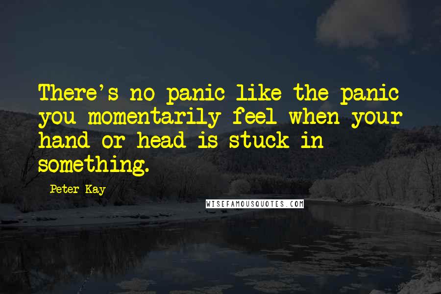 Peter Kay Quotes: There's no panic like the panic you momentarily feel when your hand or head is stuck in something.