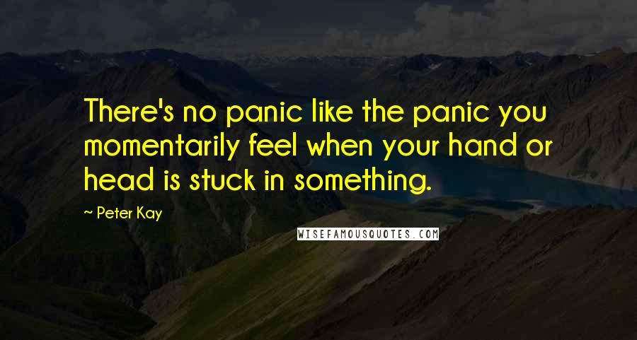 Peter Kay Quotes: There's no panic like the panic you momentarily feel when your hand or head is stuck in something.