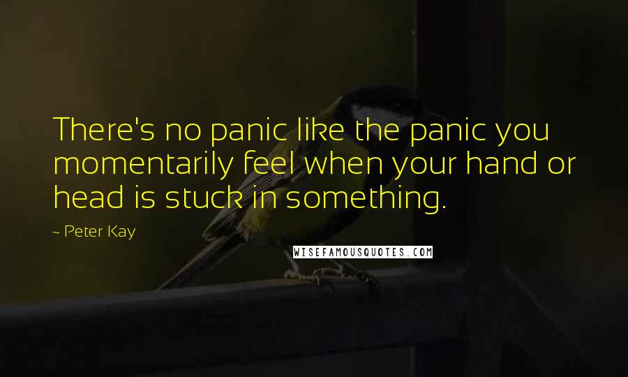 Peter Kay Quotes: There's no panic like the panic you momentarily feel when your hand or head is stuck in something.