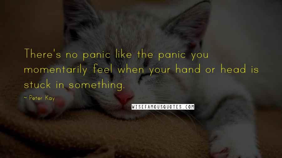 Peter Kay Quotes: There's no panic like the panic you momentarily feel when your hand or head is stuck in something.